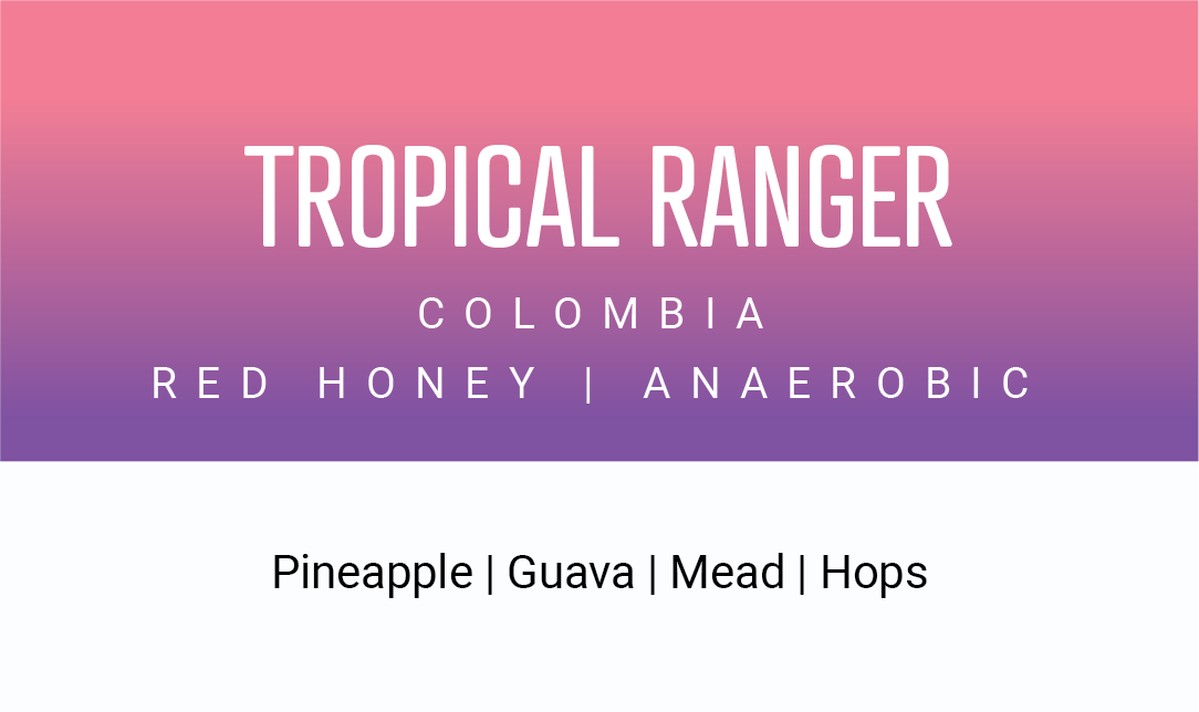Photo of Tropical Ranger | Brass Horn Coffee Roasters LLC